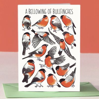 A Bellowing of Bullfinches Art Blank Greeting Card