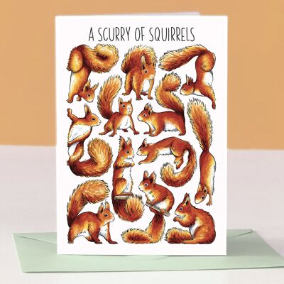 Biglietto d'auguri vuoto artistico A Scurry of Squirrls