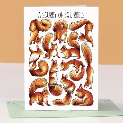 A Scurry of Squirrels Art Blank Greeting Card