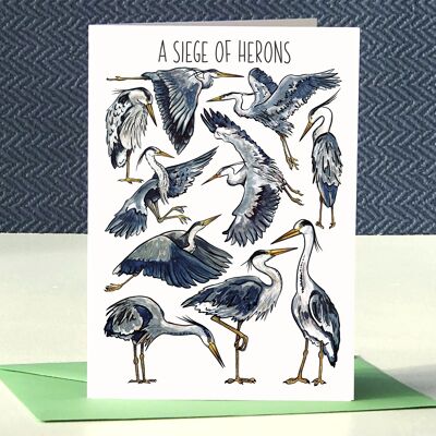 A Siege of Herons Art Blank Greeting Card