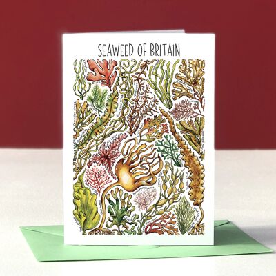 Seaweed of Britain Art Blank Greeting Card
