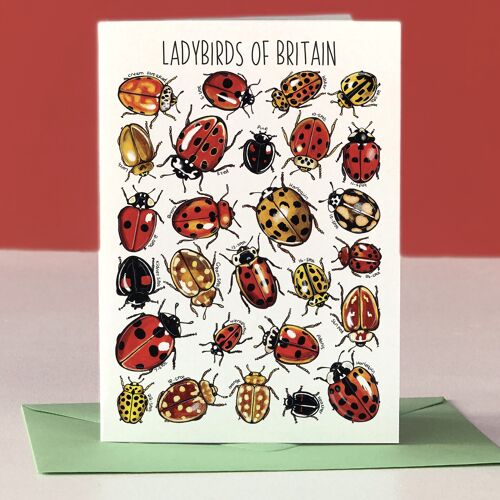 Ladybirds of Britain Art Blank Greeting Card