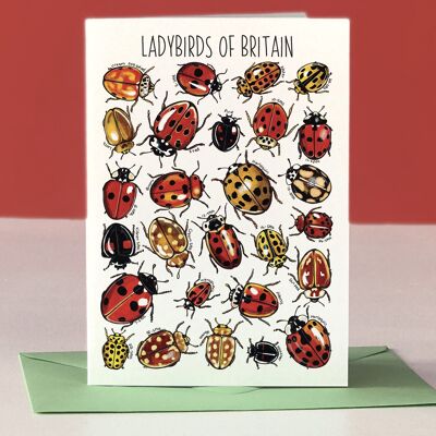 Ladybirds of Britain Art Tarjeta de felicitación en blanco