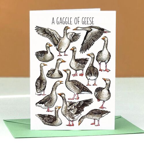 A Gaggle of Geese Art Blank Greeting Card