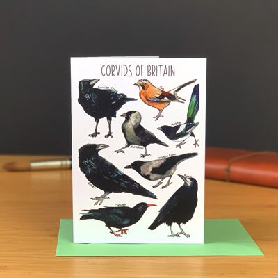 Corvids of Britain Art Blank Greeting Card