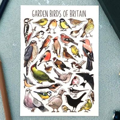 Carte postale vierge d'art d'oiseaux de jardin de Grande-Bretagne
