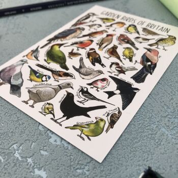Carte postale vierge d'art d'oiseaux de jardin de Grande-Bretagne 2