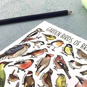 Carte postale vierge d'art d'oiseaux de jardin de Grande-Bretagne 7