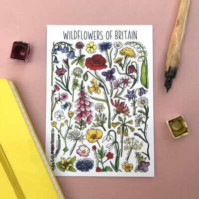 Postal en blanco del arte de las flores silvestres de Gran Bretaña