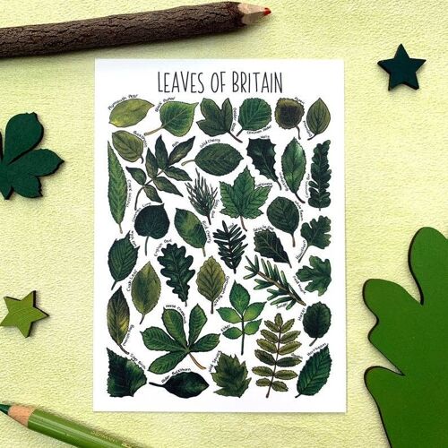 Leaves of Britain Art Blank Postcard