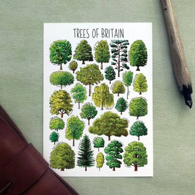 Carte postale vierge d'art d'arbres de Grande-Bretagne