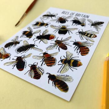 Carte postale vierge d'art d'abeilles de Grande-Bretagne 3