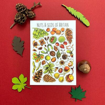 Postal en blanco de arte de frutos secos y semillas de Gran Bretaña
