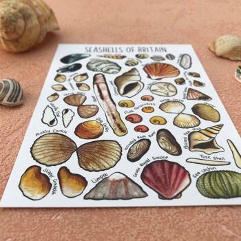 Carte postale vierge d'art de coquillages de Grande-Bretagne 2