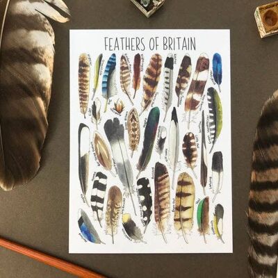 Postal en blanco del arte de las plumas de Gran Bretaña