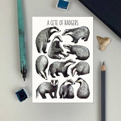 A Cete of Badgers Art Blank Postcard