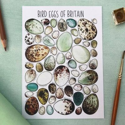 Postal en blanco del arte de los huevos de Gran Bretaña