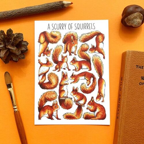 A Scurry of Squirrels Art Blank Postcard