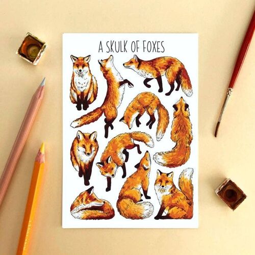 A Skulk of Foxes Art Blank Postcard