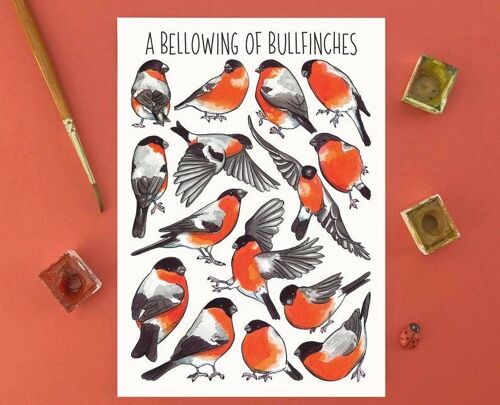 A Bellowing of Bullfinches Art Blank Postcard