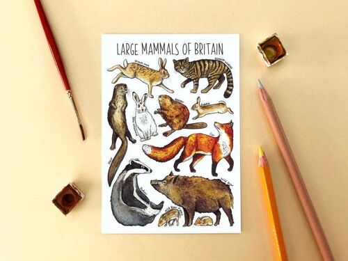 Large Mammals of Britain Art Blank Postcard