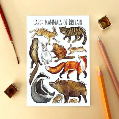 Postal en blanco del arte de los grandes mamíferos de Gran Bretaña