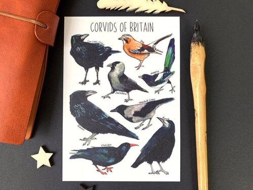 Corvids of Britain Art Blank Postcard