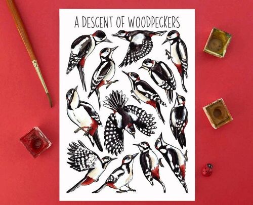 A Descent of Woodpeckers Art Blank Postcard