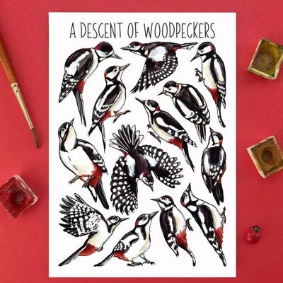 A Descent of Woodpeckers Art Blank Postcard