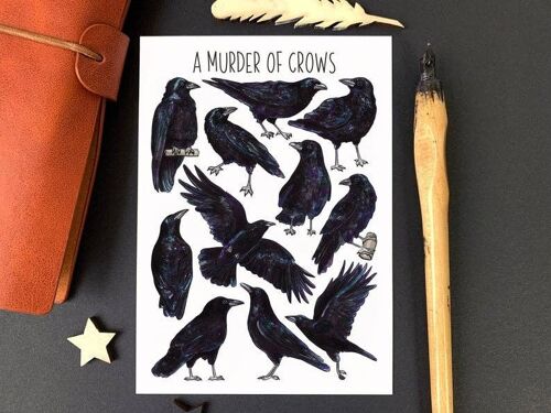 A Murder of Crows Art Blank Postcard
