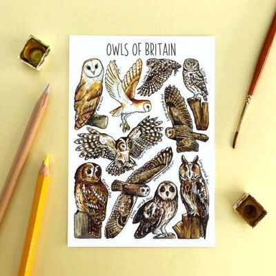 Carte postale vierge d'art de hiboux de Grande-Bretagne