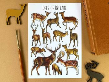 Carte postale vierge d'art de cerf de Bretagne