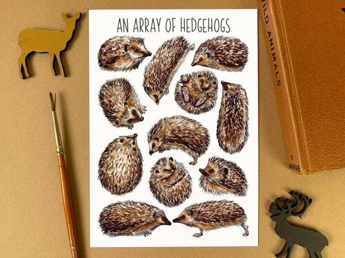 An Array of Hedgehogs Art Blank Postcard
