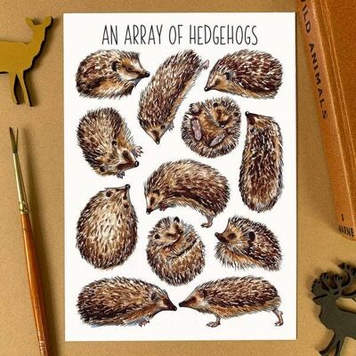 An Array of Hedgehogs Art Blank Postcard