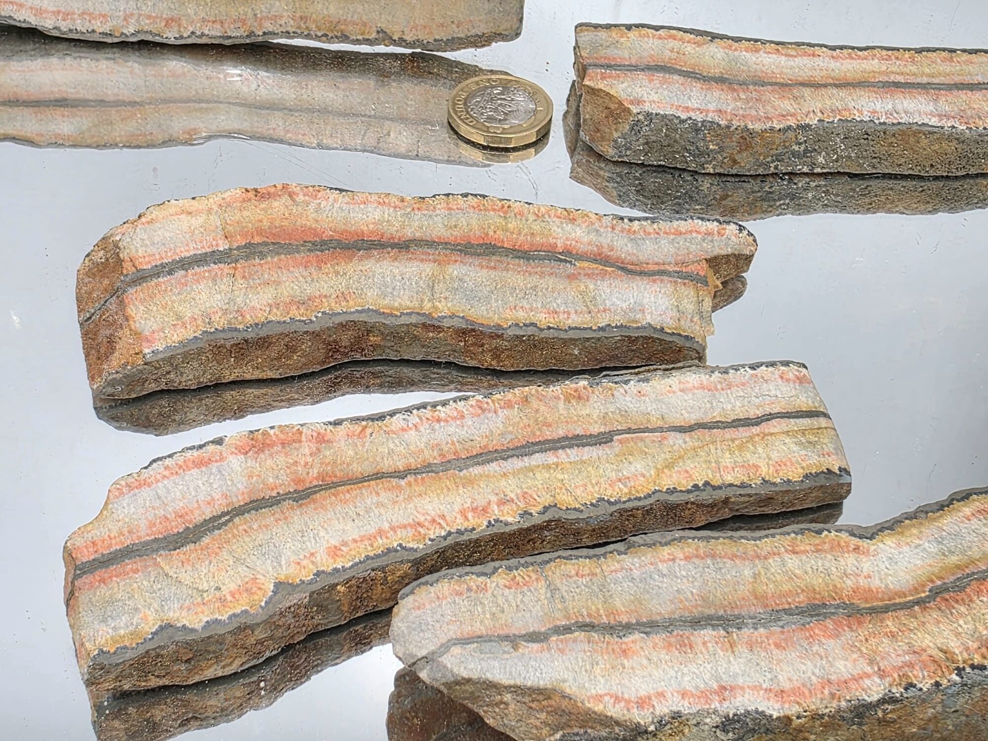 Grande fetta di cristallo di celestobarite lucidata a metà