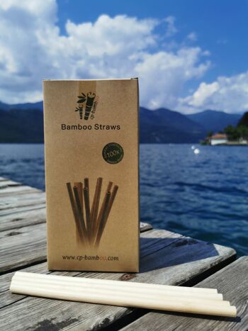 Pailles en bambou - paquet de 100 2