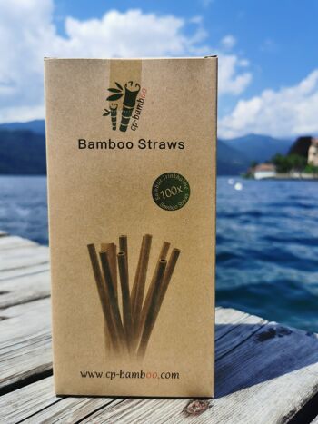 Pailles en bambou - paquet de 100 3