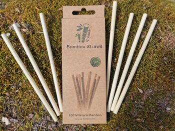 Pailles en bambou - paquet de 100 7