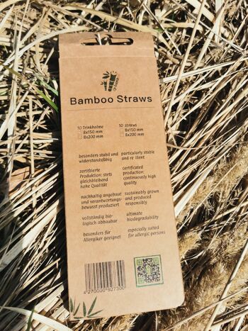 Pailles en bambou - paquet de 100 8
