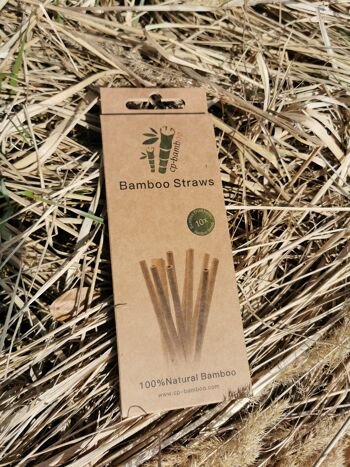 Pailles en bambou - paquet de 100 9