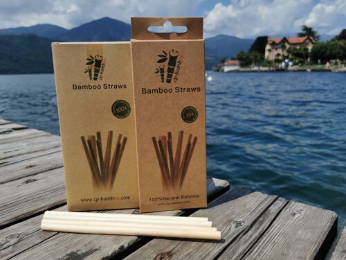 Bambus Strohhalme - 10er Packung