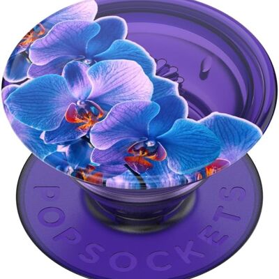 Dark Orchid