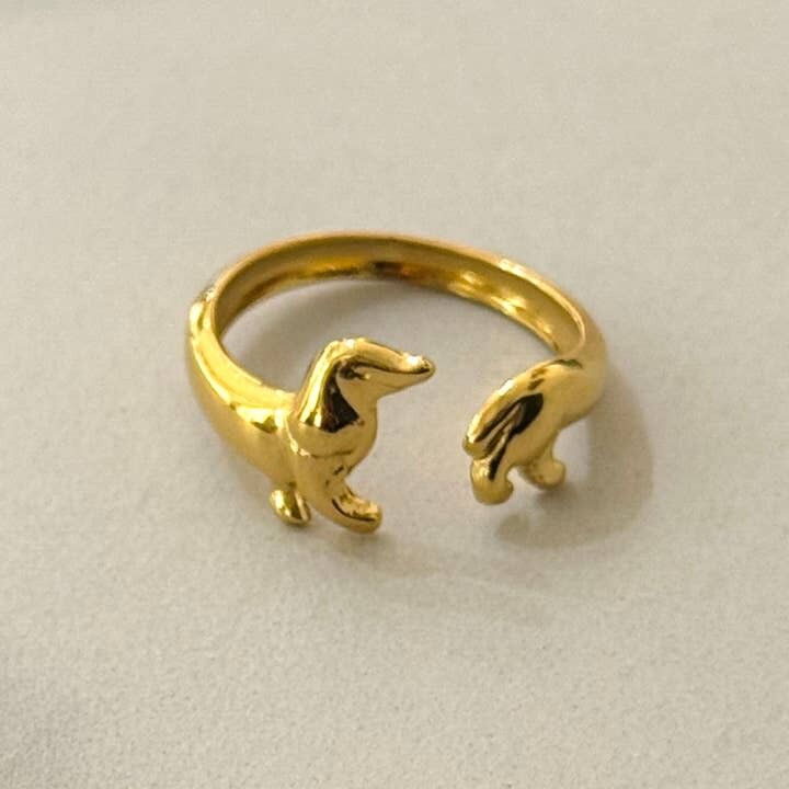 Ring de tournée des teckels