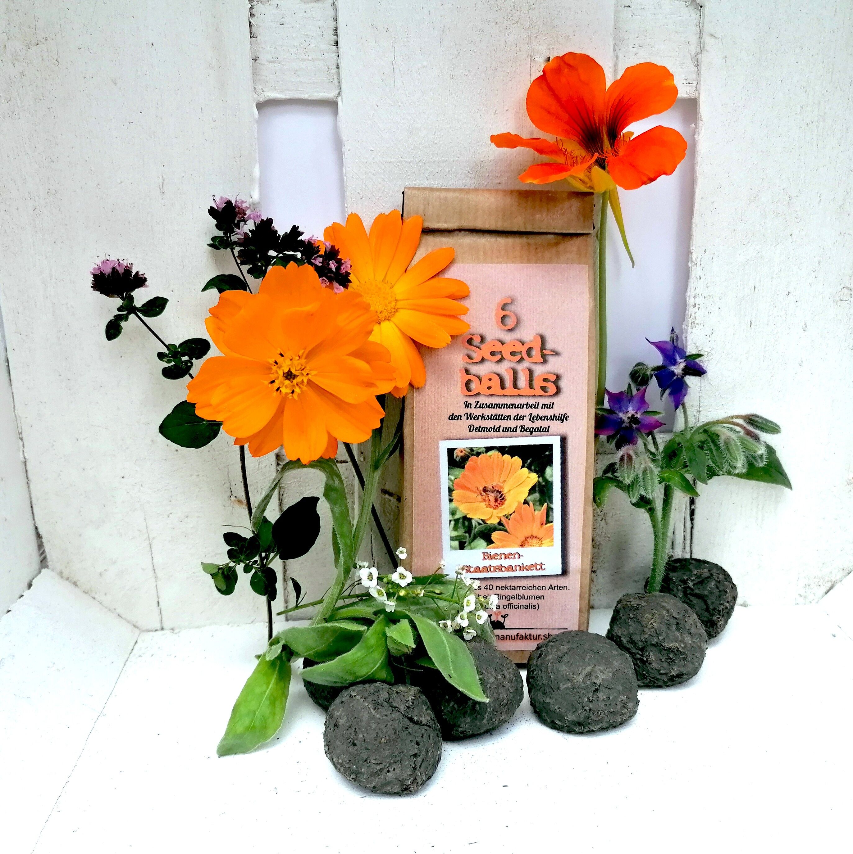 Palline di semi nella varietà di semi di bustina di tè "Bee State Banquet"