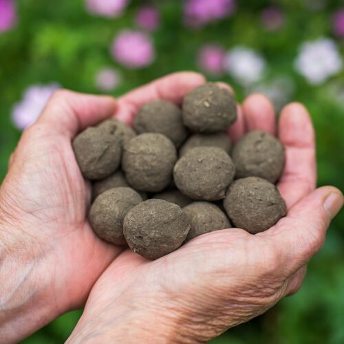 Seedballs unverpackt
