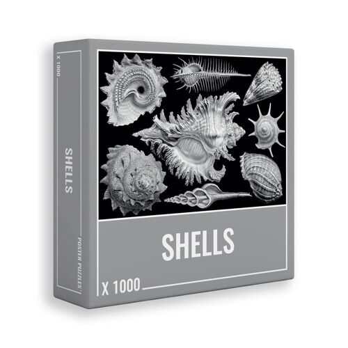 Shells 1000 Piece Jigsaw Puzzles for Adults