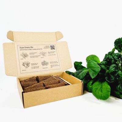 PlantPlugs | Paquete de 8 verduras de hoja asiática