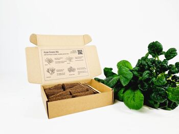 Bouchons de plantes | Légumes à feuilles asiatiques paquet de 8 1