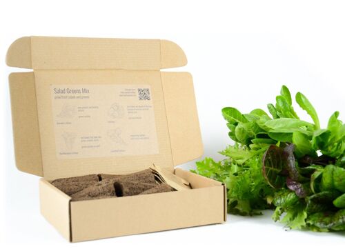 PlantPlugs | Salad Greens 8-Pack