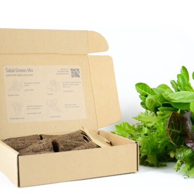 PlantPlugs | Paquete de 8 hojas verdes para ensalada